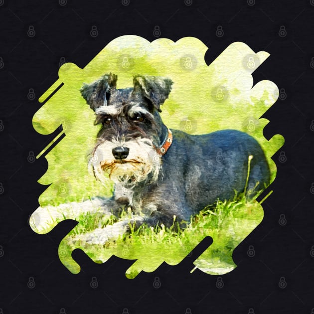 Miniature Schnauzer by Nartissima